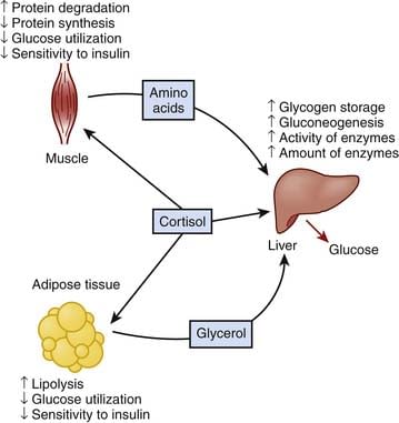 Positieve effecten van seks